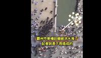 不滿造假宣傳 河北霸州災民抗議 爆警民衝突(圖/視頻)